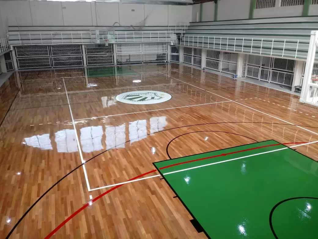 Linha Do Tempo